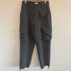 Aritzia Wilfred Project Cargo Pant in a high-rise style and Coal Grey color